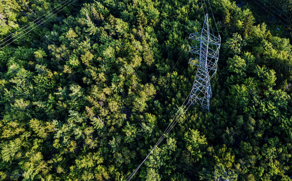 Ein hoher Strommast mit mehreren Leitungen ragt in den Himmel und symbolisiert Energieübertragung und Infrastruktur.