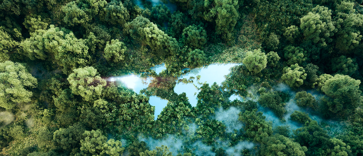 Gemeinsam Nachhaltigkeit vorantreiben